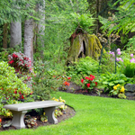 Organic Solutions for a Thriving Garden