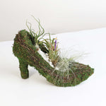 Stiletto Moss Planter Kit