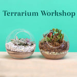 Terrarium Workshop - Thursday, August 14th, 2025 at 6:00 pm