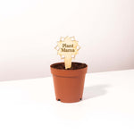 Wooden Laser Cut Plant Message Sign - Add On Item Verdant Lyfe