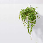 Amelia Porcelain Round Hanging Planter - Empty Verdant Lyfe