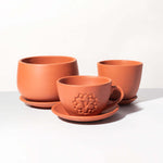 Terracotta Trio Planter Signature Bundle Verdant Lyfe