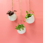 Amelia Porcelain Round Hanging Planter - Empty Verdant Lyfe