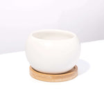 Diana Porcelain Planter with Bamboo Tray Verdant Lyfe