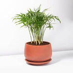 Valentina Terracotta Minimalist Planter - Empty Verdant Lyfe