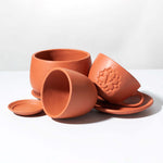 Terracotta Trio Planter Signature Bundle Verdant Lyfe