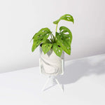 Olympia Ceramic Planter Marble Effect - Empty Verdant Lyfe